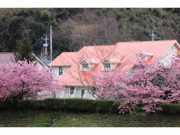 Pension Hidamari Minamiizu Exteriér fotografie