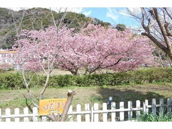 Pension Hidamari Minamiizu Exteriér fotografie
